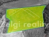 DJI_0921.jpg