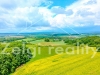DJI_0928.jpg