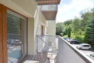 Pronjem bytu 1+kk, 22 m2, OV, Brno, Bystrc (okres Brno-msto), ul. Rakoveck