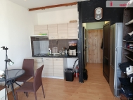 Pronjem bytu 1+kk, 28 m2, DV, Praha 10, Zbhlice, ul. Peslikov