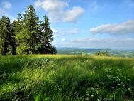 Prodej pozemku , trval travn porost, Vlastibo (okres Jablonec nad Nisou)