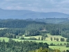 20250611_173526.jpg