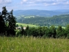 20250611_173825.jpg