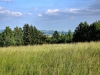 20250611_174115.jpg