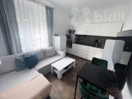 Pronjem bytu 2+kk, 0 m2, OV, Choce (okres st nad Orlic), ul. T. G. Masaryka