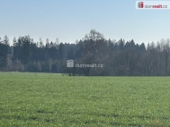 Prodej pozemku , les, Vlkanov (okres Havlkv Brod)
