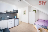 Pronjem bytu 1+kk, 20 m2, DV, Praha 4, Kr, ul. eransk