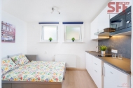 Pronjem bytu 1+kk, 18 m2, DV, Praha 4, Kr, ul. eransk
