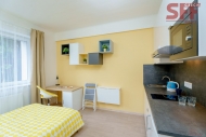 Pronjem bytu 1+kk, 20 m2, DV, Praha 4, Kr, ul. eransk