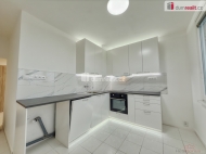 Pronjem bytu 2+1, 60 m2, OV, st nad Labem, Severn Terasa, ul. Obl