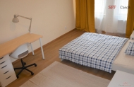 Pronjem bytu atypick, 18 m2, DV, Praha 2, Nov Msto, ul. Sokolsk