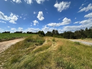 Prodej pozemku , les, Tasov (okres r nad Szavou)