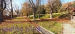 IMG-20211220-WA0019