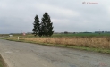 img-20211111-131532.jpg