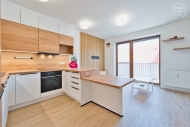 Pronjem bytu 2+kk, 53 m2, OV, Holubice (okres Vykov)