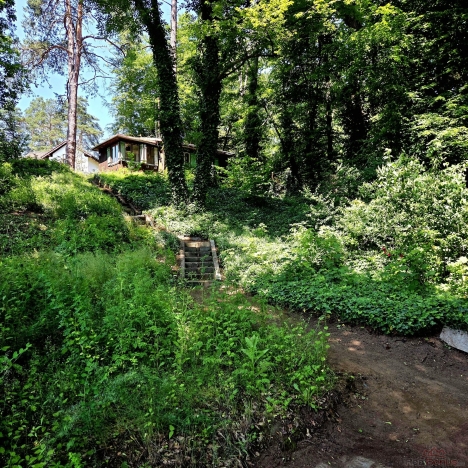 20250613_134705.jpg