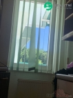 Pronjem bytu atypick, 0 m2, OV, esk Budjovice, esk Budjovice 1, ul. Ant. Barcala