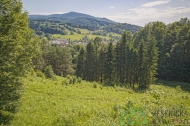 Prodej pozemku , zemdlsk pda, Lipov-lzn (okres Jesenk)