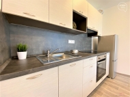 Pronjem bytu 2+kk, 50 m2, OV, Brno, Star Lskovec (okres Brno-msto), ul. Ton
