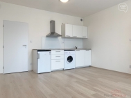 Pronjem bytu 1+kk, 29 m2, OV, Plze, Jin Pedmst (okres Plze-msto), ul. Magistersk