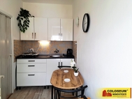 Pronjem bytu 1+1, 31 m2, OV, Brno, Lesn (okres Brno-msto), ul. Halasovo nmst