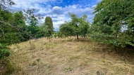 Prodej pozemku , uren k vstavb RD, Blejov, Malonice (okres Domalice)