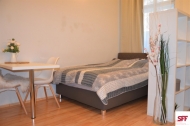 Pronjem bytu 1+kk, 0 m2, OV, Praha 2, Vinohrady, ul. afakova - exkluzivn