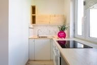 Pronjem bytu 2+kk, 45 m2, OV, Brno, Zbrdovice (okres Brno-msto), ul. Cejl