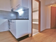 Pronjem bytu 2+kk, 39 m2, OV, Brno, Zbrdovice (okres Brno-msto), ul. Kolit