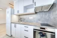 Pronjem bytu 1+kk, 28 m2, OV, Rousnov (okres Vykov), ul. U mlna