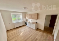 Pronjem bytu 2+1, 50 m2, OV, umperk