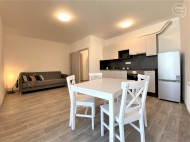 Pronjem bytu 2+kk, 50 m2, OV, Brno, Star Lskovec (okres Brno-msto), ul. Ton