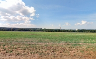 Prodej pozemku 17 147 m2, zemdlsk pda, Vlaim (okres Beneov)