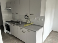 Pronjem bytu 3+1, 70 m2, OV, Kaplice (okres esk Krumlov), ul. Na Vyhldce
