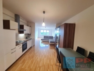 Pronjem bytu 2+kk, 0 m2, OV, Praha 9, Hloubtn, ul. Slvask