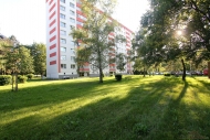 Pronjem bytu 1+kk, 34 m2, DV, Hradec Krlov, Slezsk Pedmst, ul. Tebechovick - exkluzivn