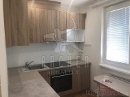 Pronjem bytu 3+1, 72 m2, OV, Praha 10, Zbhlice, ul. Jasmnov