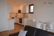 Pronjem bytu 2+kk, 0 m2, OV, Praha 4, Hje, ul. Loosova - exkluzivn