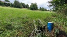 IMG_20250722_094504.jpg