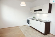 Pronjem bytu 1+kk, 40 m2, OV, Praha 3, ikov, ul. Biskupcova