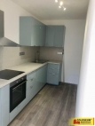 Pronjem bytu 1+kk, 32 m2, OV, Jedovnice (okres Blansko)