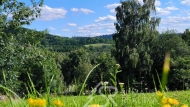 Prodej pozemku , uren k vstavb RD, Suice, Zlu (okres Klatovy)