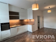 Pronjem bytu 2+kk, 43 m2, OV, irovnice (okres Pelhimov), ul. Havlkovo nmst