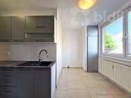Pronjem bytu 2+1, 62 m2, OV, Letovice (okres Blansko), ul. Drustevn