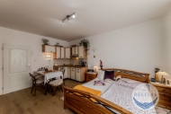 Pronjem bytu 1+kk, 28 m2, OV, Praha 10, Zbhlice, ul. Mattioliho