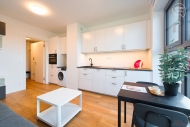 Pronjem bytu 1+kk, 23 m2, OV, Brno, Zbrdovice (okres Brno-msto), ul. Bratislavsk