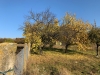 9426cddb-7149-4ca9-809f-02d6eb3bf6b7.jpeg