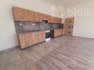 Pronjem bytu 3+kk, 0 m2, OV, Louny, ul. Husova