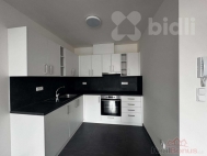 Pronjem bytu 2+kk, 39 m2, OV, ternberk (okres Olomouc), ul. nmst Svobody