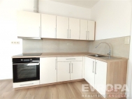 Pronjem bytu 2+kk, 53 m2, OV, Vrchlab, Podh (okres Trutnov), ul. Dlnick